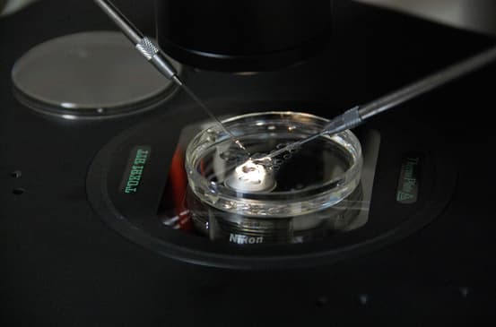 Slider image (3) Prof. Dr. Nilgun Turhan Fertility Clinic